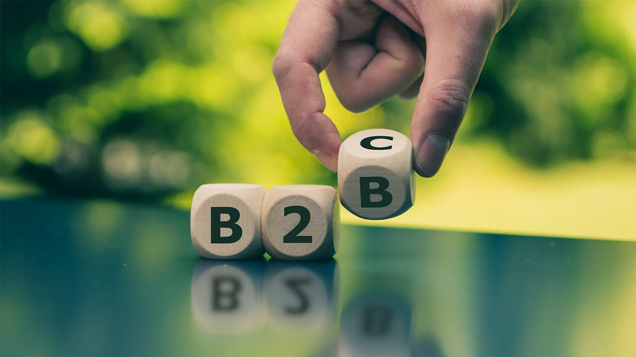 Сравнение B2B, B2C и B2G в продажах и работе с сайтами